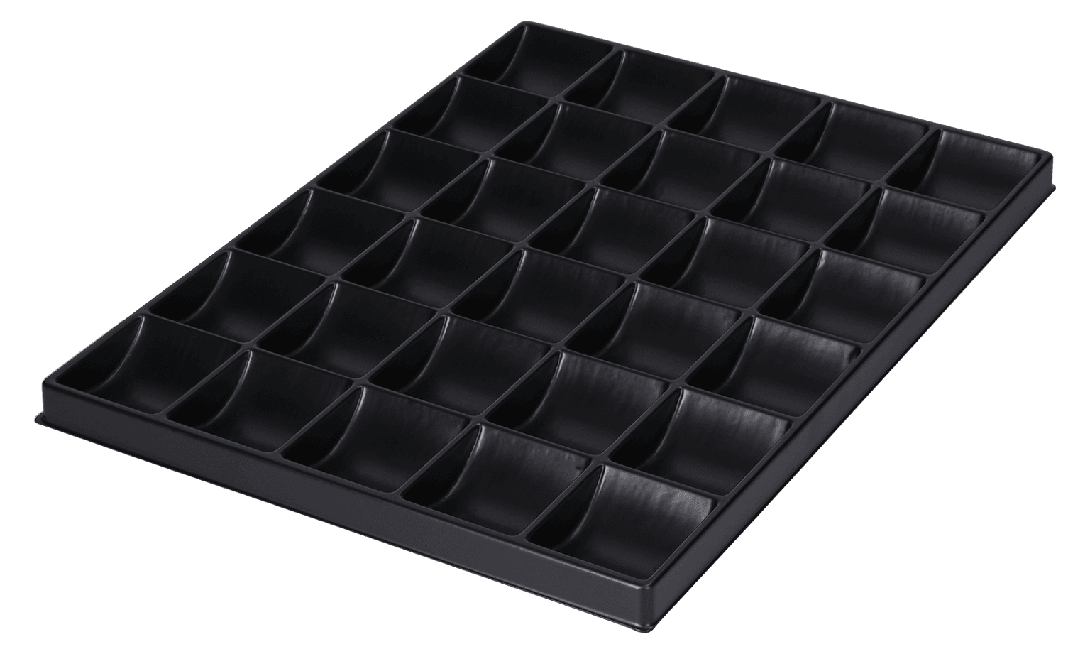 ESD-Inlay schwarz 30 Nester rechteckig