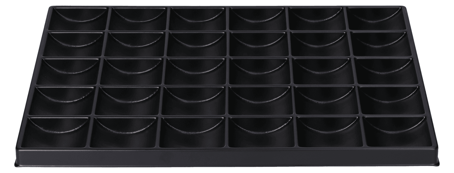 ESD-Inlay schwarz 30 Nester rechteckig