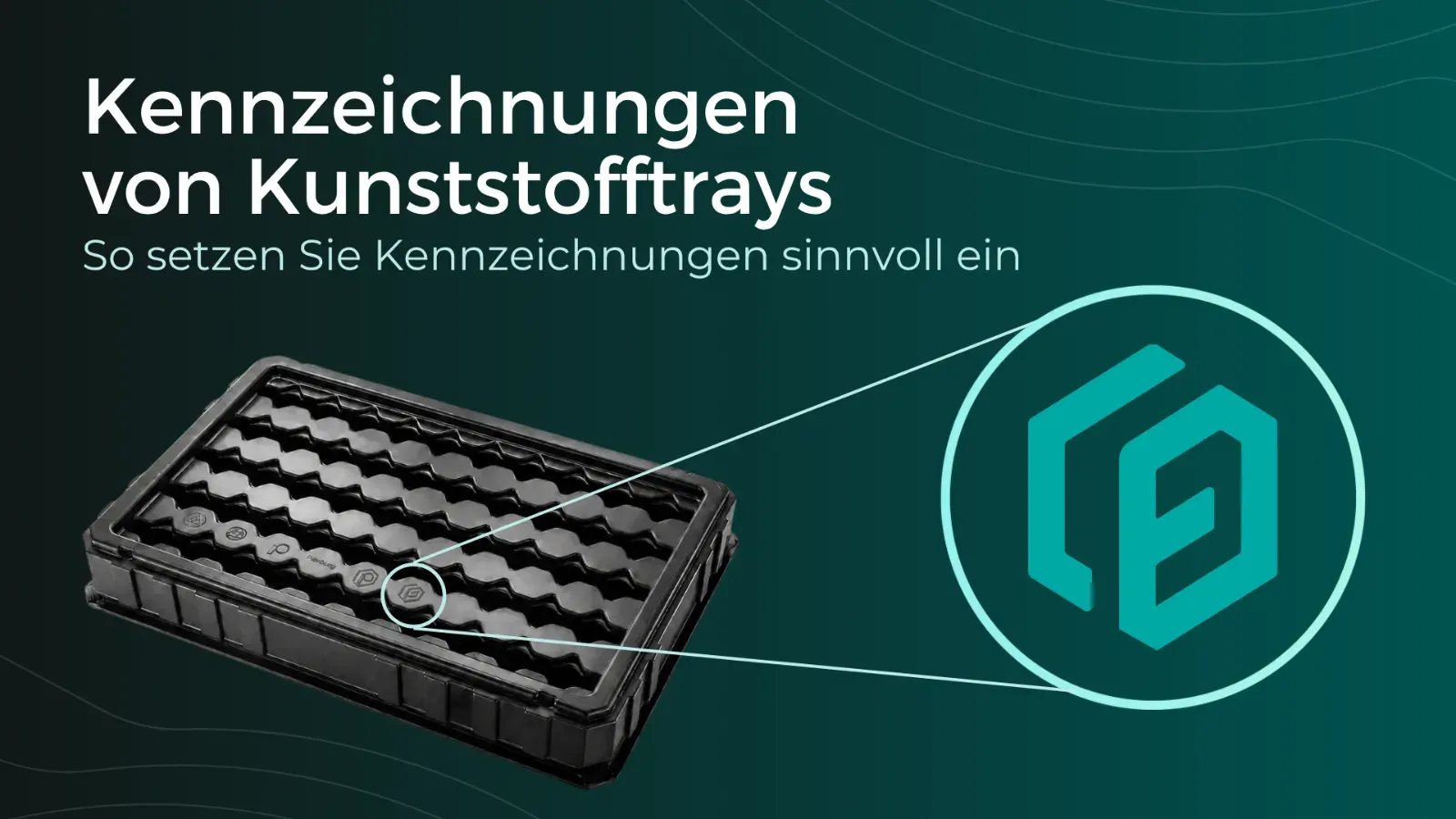 Traykennzeichnung Banner